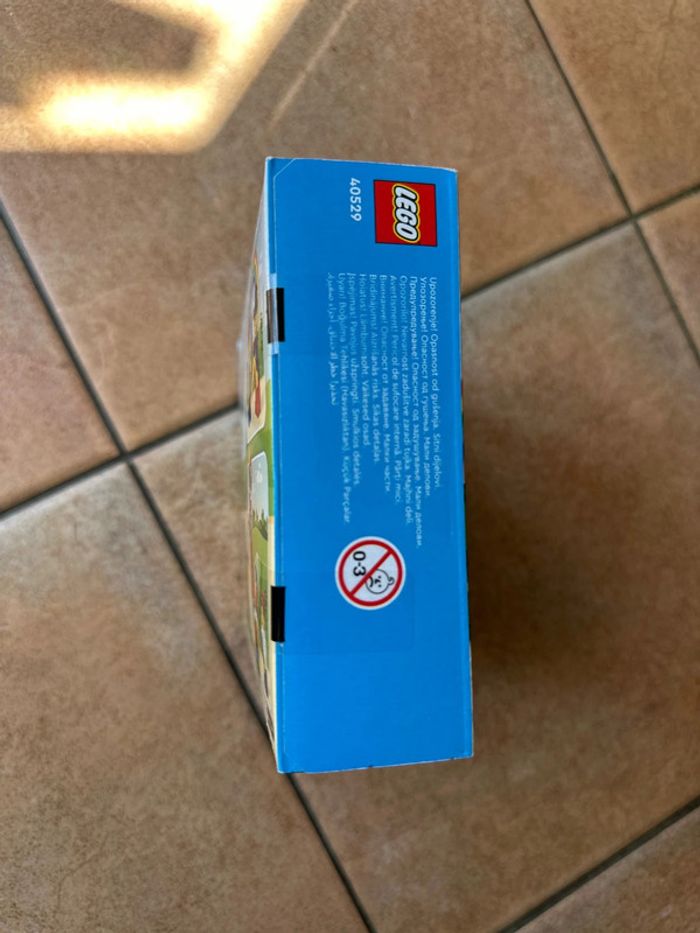 Set Lego 40529 Children's Amusement Park - photo numéro 6