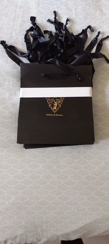 Lot sac ambassadrice Soft Paris