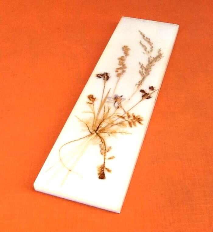 Années 1970 Herbier à suspendre fleurs pressées plexiglas - photo numéro 2