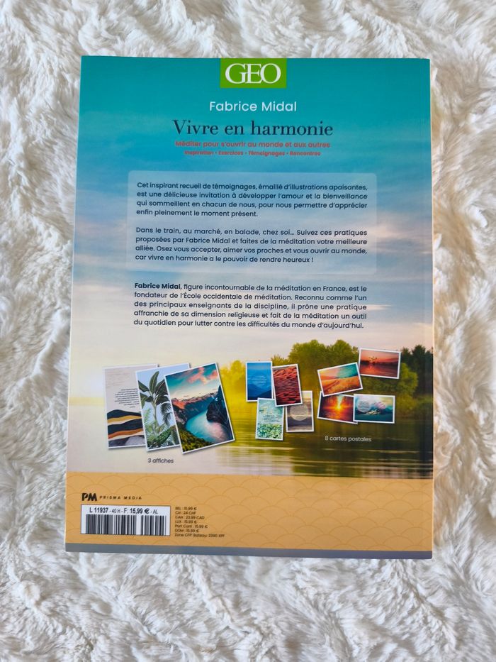 Vivre en harmonie Fabrice Midal Geo - photo numéro 2