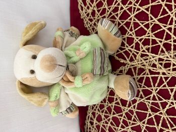 Doudou et compagnie chien beige vert copain Z'amigolos