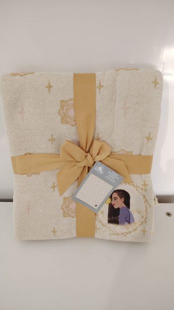 Plaid Disney  Asha Wish