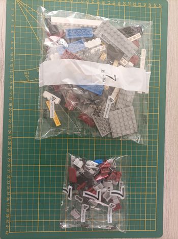 Sachet numéro 7 n°7 complet pour le set Lego Icons 10294 Le Titanic