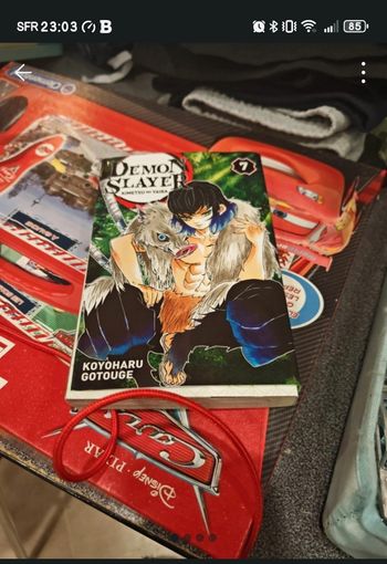 Lot deux mangas daemon slayer tome 6 et 7