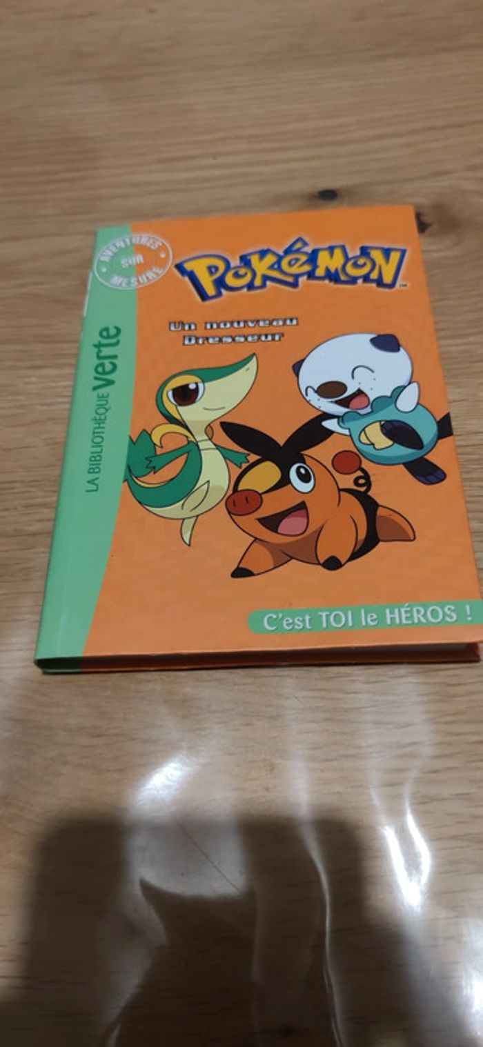 Pokemon un nouveau dresseur