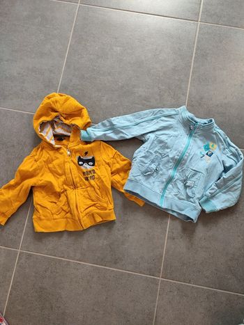 Lot 2 gilets zippés 2 ans
