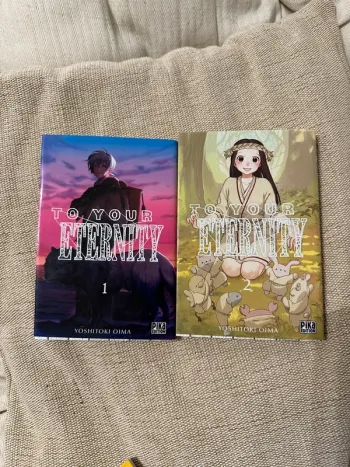 To your eternity tome 1 et 2