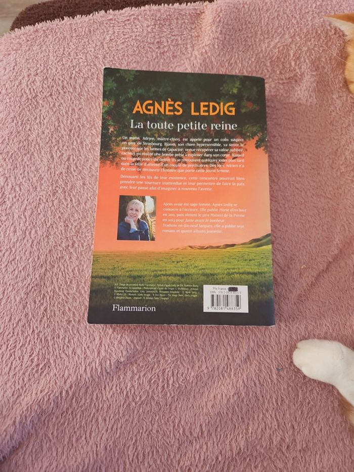 Livre - photo numéro 3