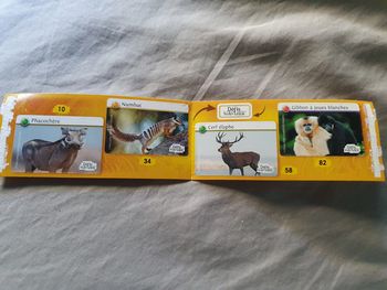 Autocollants Défis Nature Auchan