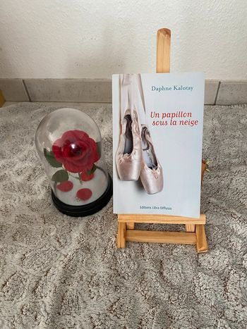 Livre un papillon sous la neige de Daphne Kalotay