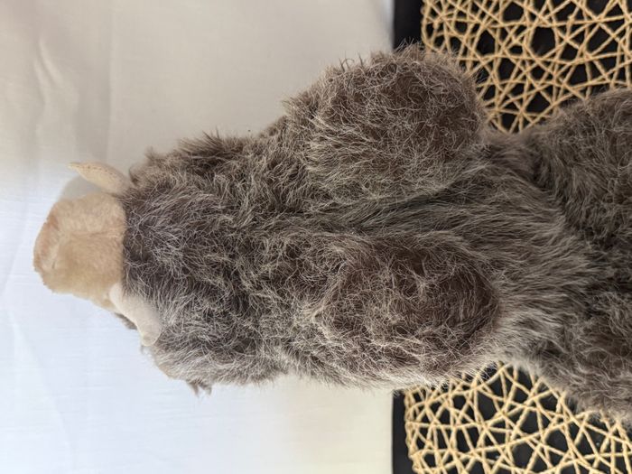 peluche sanglier - photo numéro 6