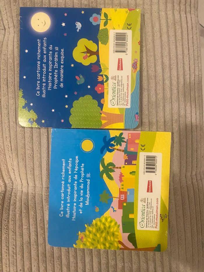 Lot de deux livres prophétiques enfant - photo numéro 2