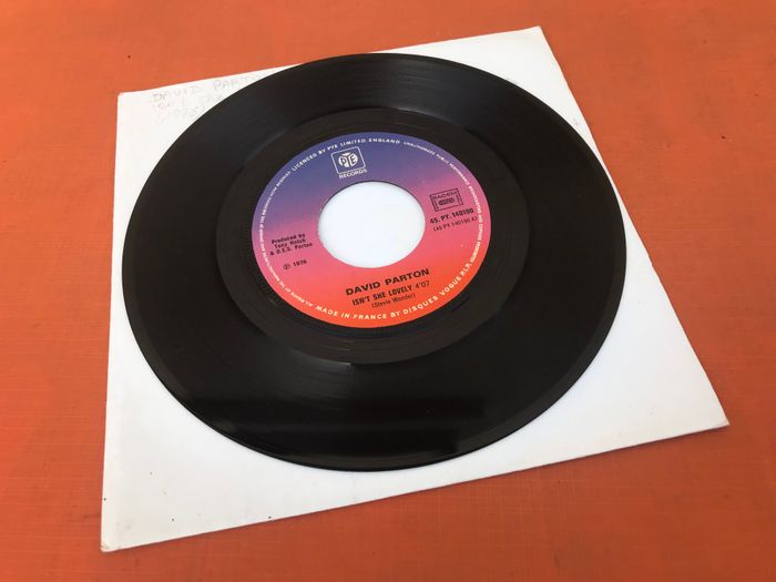 Vinyle 45 tours David Parton Isn't she lovely (1976) Pye Records PY 140190 - photo numéro 3