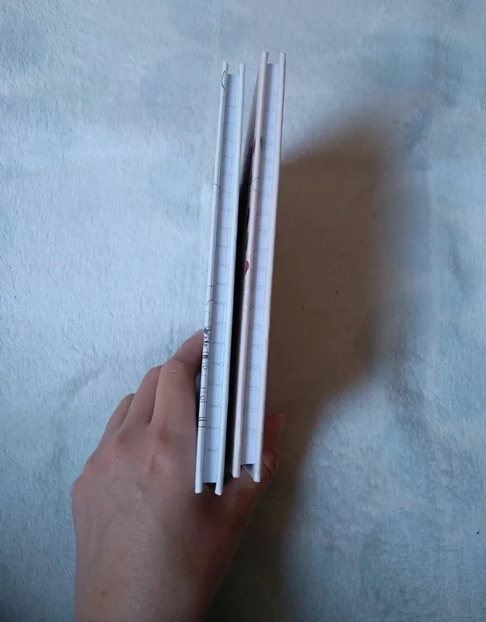 Lot 2 carnets neufs - photo numéro 4