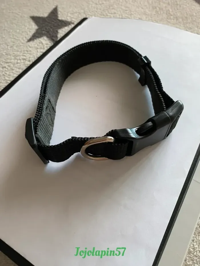 Collier pour chien - photo numéro 2