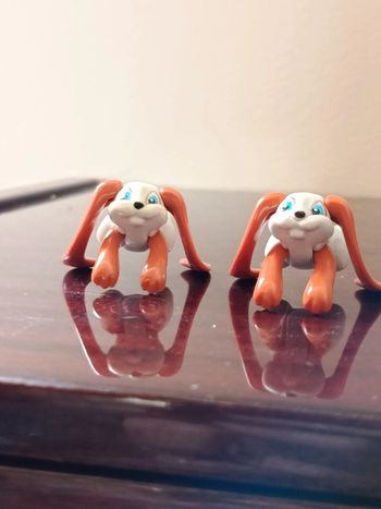 Deux chiens sauteur kinder