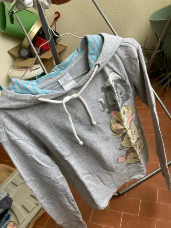 Petit pull tsum tsum Disney