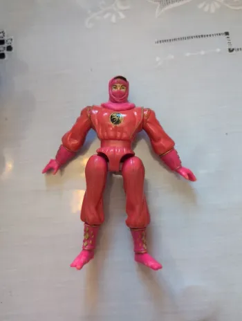 Power ranger ninja rose