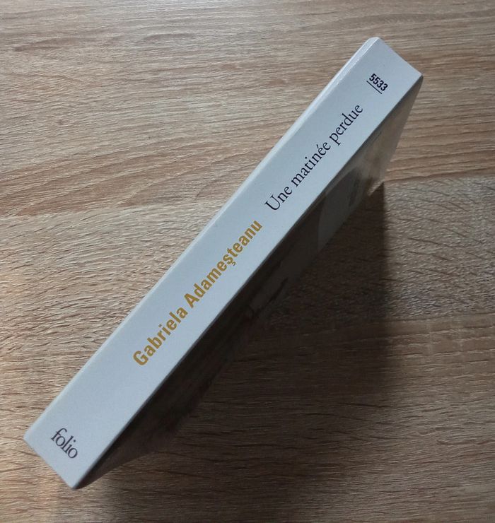 Gabrila Adamesteanu 🪅 Une matiné perdue - photo numéro 3