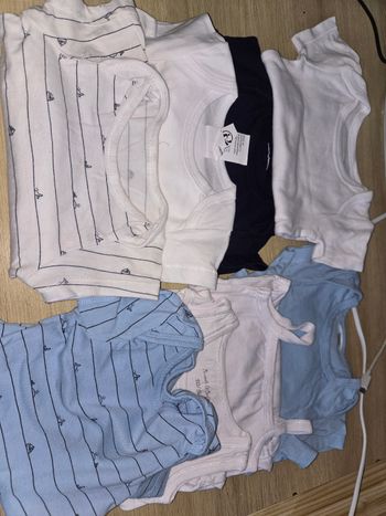 Lot body