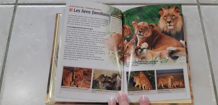 DVD animalier Vivre avec les lions - photo numéro 5
