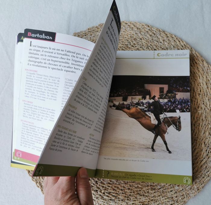 L'encyclopédie 🐴 de la cavalière qui veut tout savoir ! - photo numéro 14