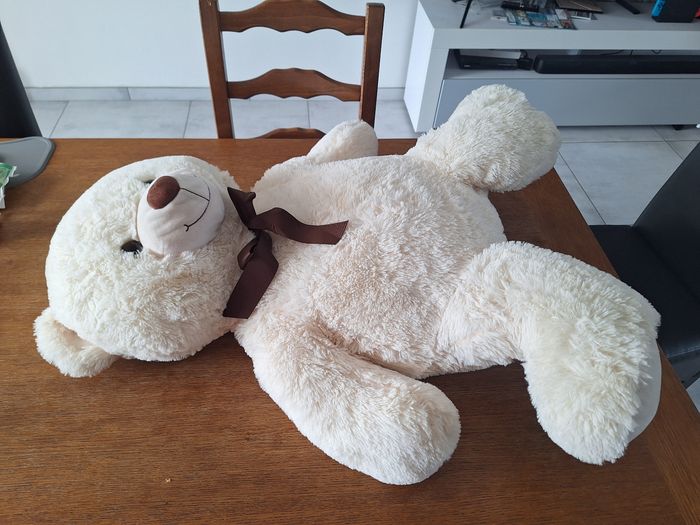 Ours en peluche - photo numéro 2