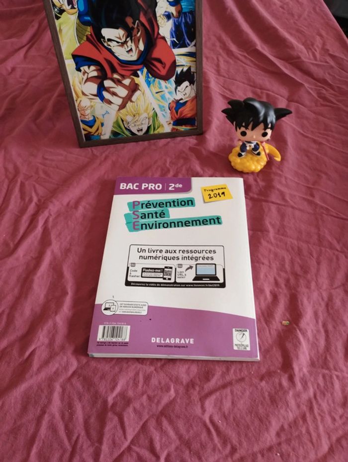 Prévention santé environnement 2de bac pro - photo numéro 3