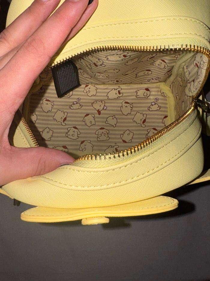 Lougefly pompompurin - photo numéro 5