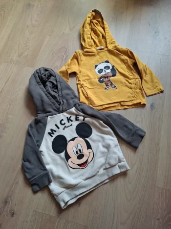 Pulls a capuche 18 mois