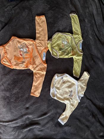 Lot bodies