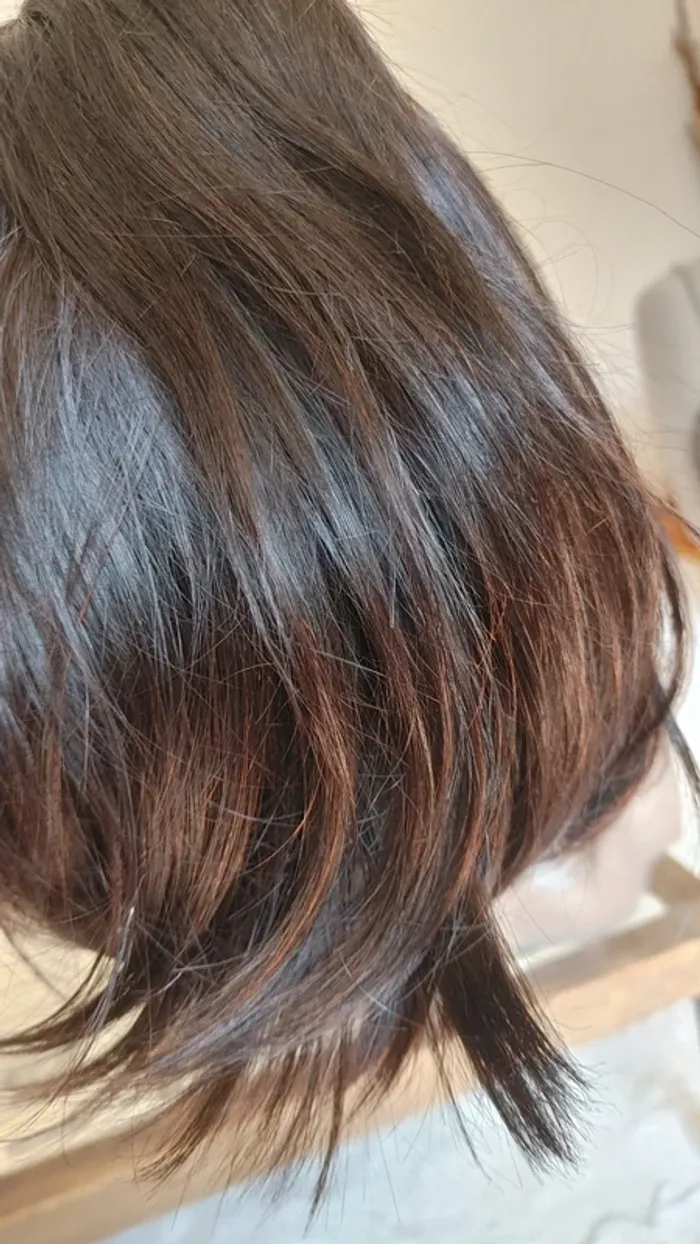 Perruque lace wig Bob en cheveux humains 100 pour 100 naturel 2B - photo numéro 12