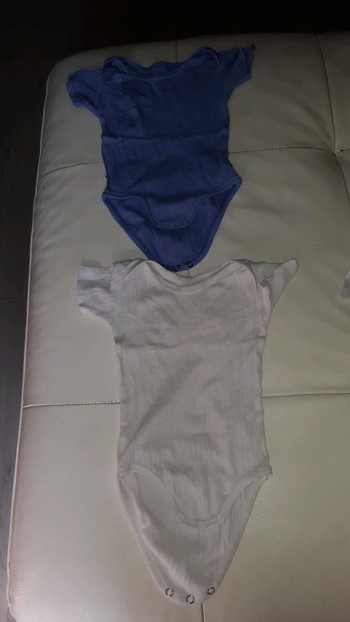 Lot  2 bodies 12 mois