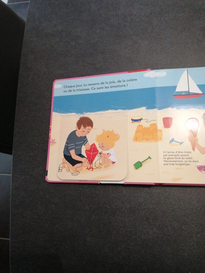 Livre à volets à soulever, languette à tirer - photo numéro 3