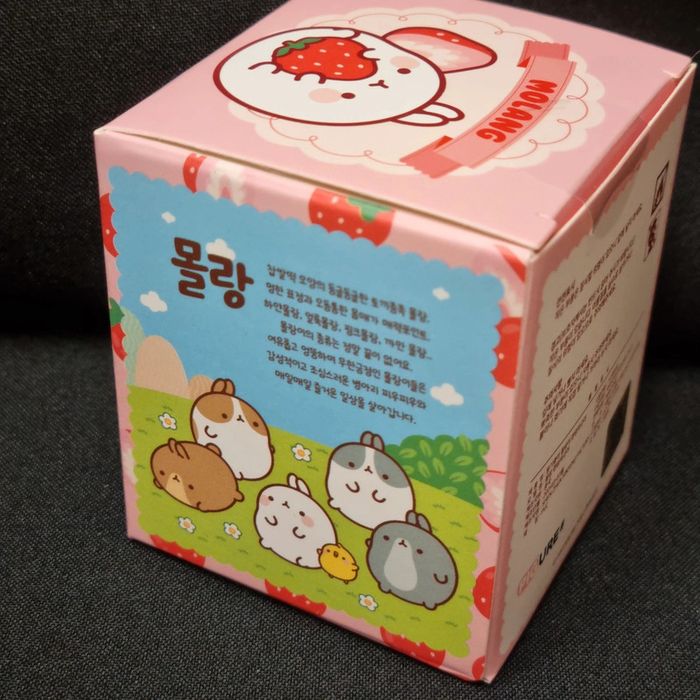 Blind Box Molang Fraise de Corée du Sud - photo numéro 5
