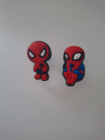 Lot de 2 charms