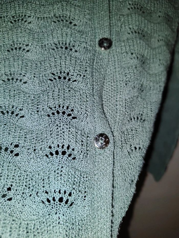 Gilet vert d'eau 4 ans - photo numéro 3