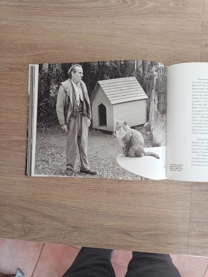 Star de chat et chats de stars - photo numéro 15