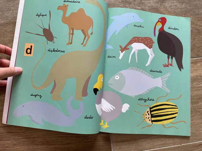 Livre animaux Soledad bravi - photo numéro 4