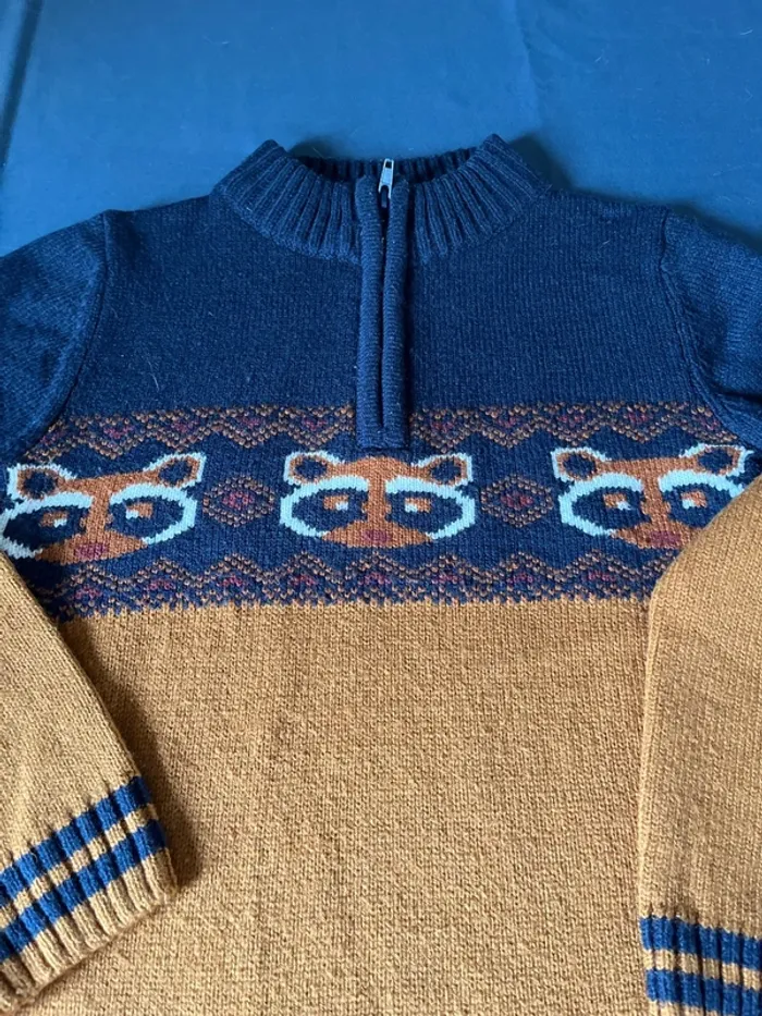 Pull raton laveur - photo numéro 2