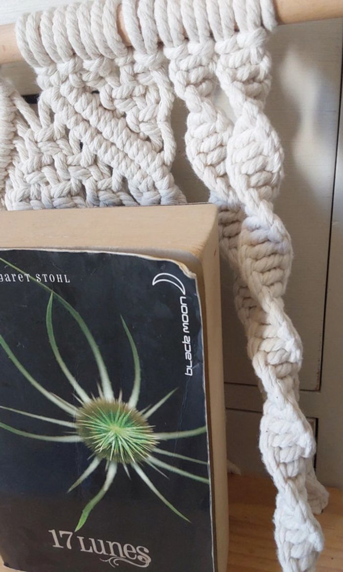 Livre 17 lunes Kami Garcia et Margaret Stol - photo numéro 3