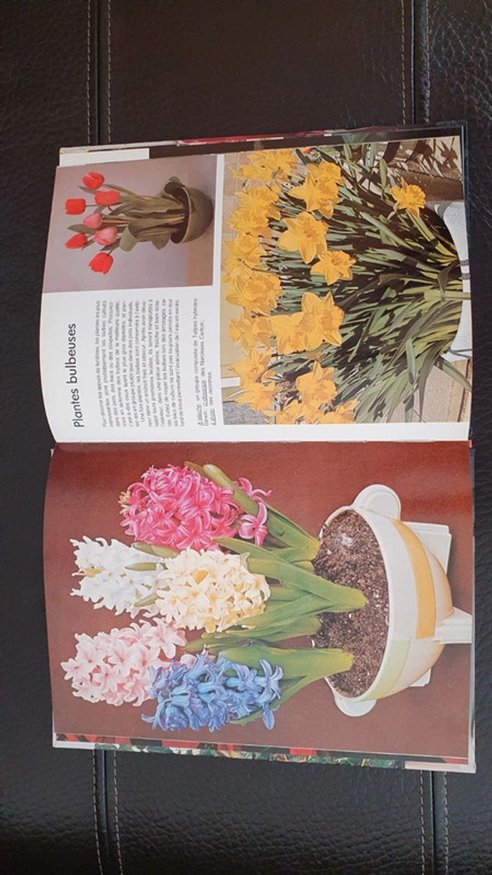 Livre " les plantes d'intérieur " collection Plaisir de voir - photo numéro 8