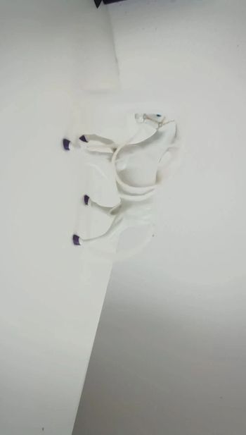 Cheval blanc