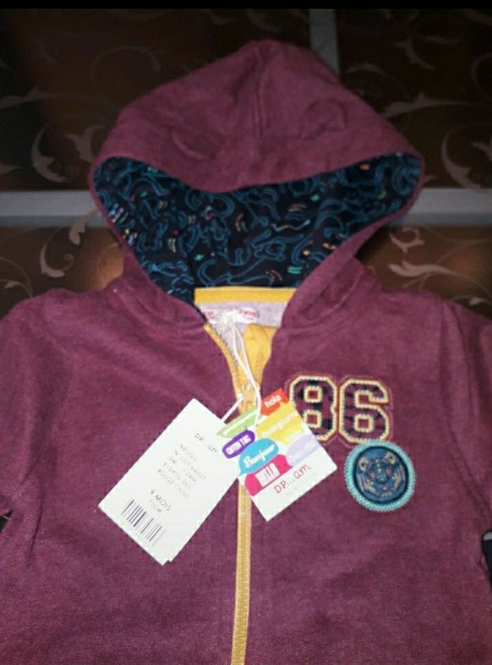 Sweat à Capuche neuf 9 mois - photo numéro 2