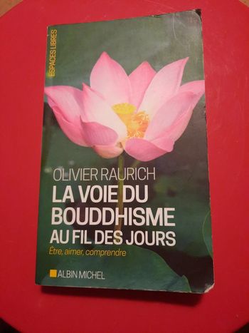 La voie du bouddhisme