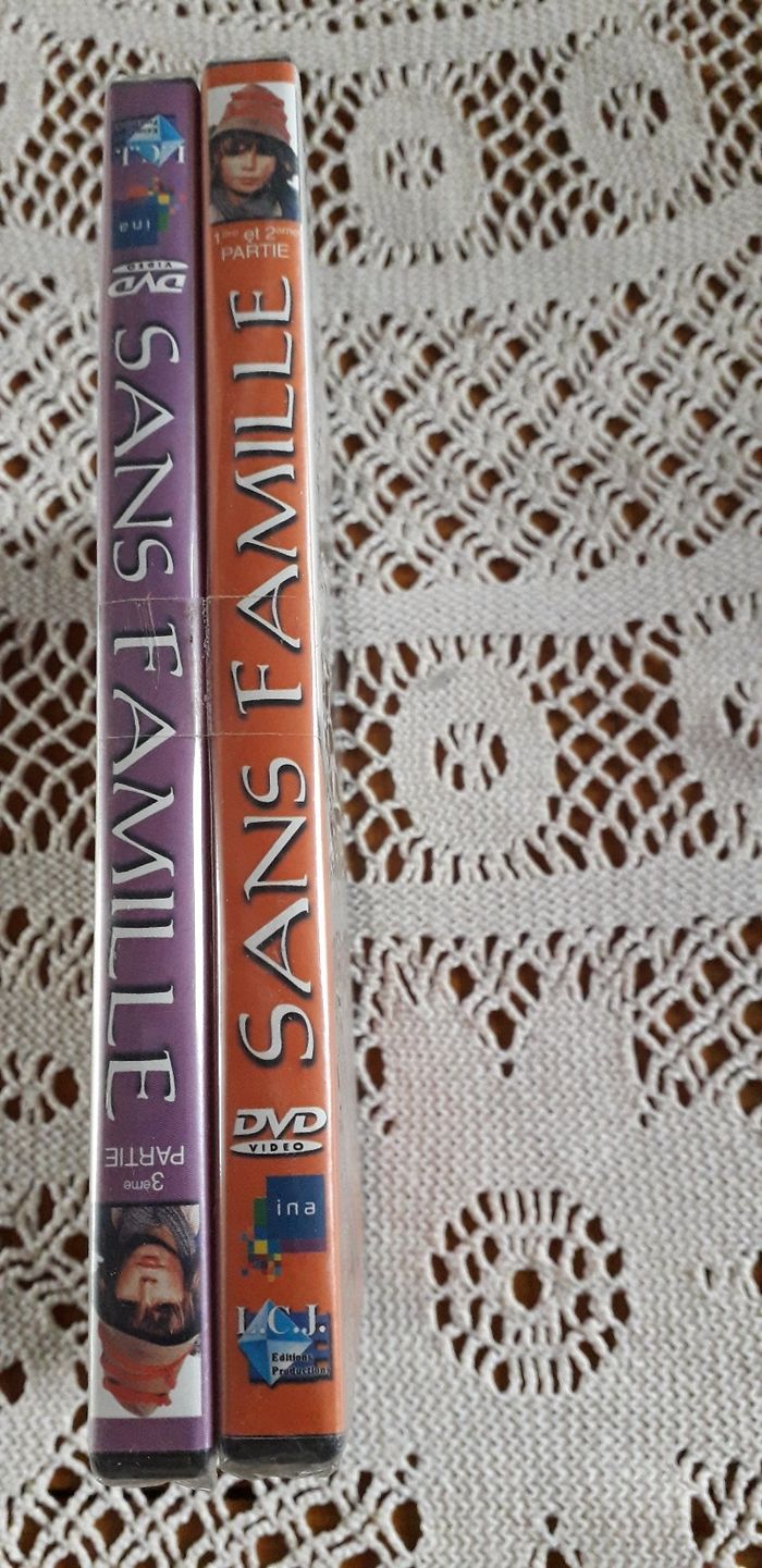 DVD sans famille - photo numéro 2