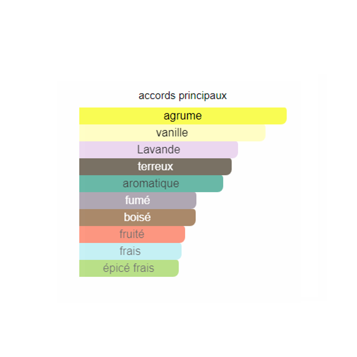 CH Robothic Men "inspi  Paco Rabanne Phantom" eau de parfun 100ml - photo numéro 3