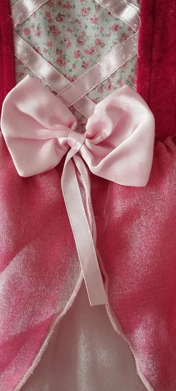 Deguisement Robe de Marquise (ou Princesse) - photo numéro 13