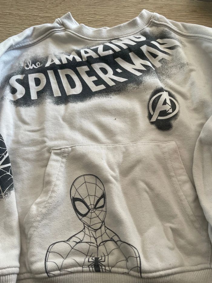 Sweet Spiderman 5 ans - photo numéro 3
