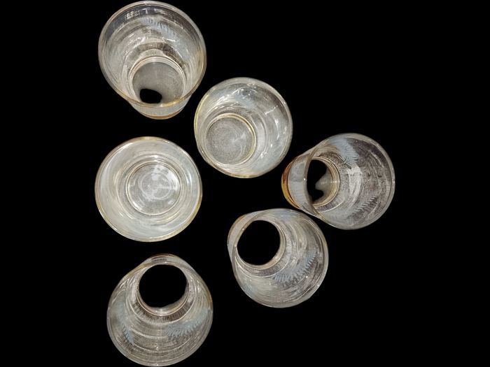Verres À Liqueur Fougère - photo numéro 3